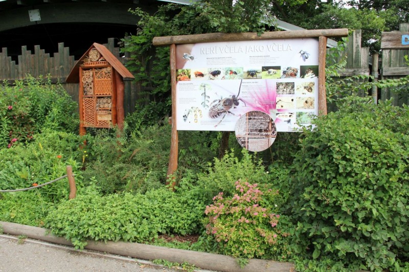 Environmentální vzdělávání v zoologické zahradě v Hluboké nad Vltavou