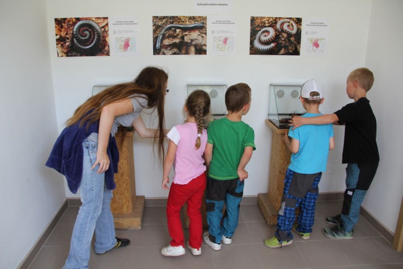 Výukové expozice v centru ekologické výchovy zoologické zahrady Hluboká nad Vltavou