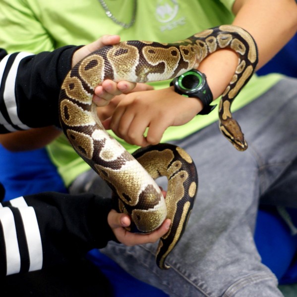 Výukový program Hadi pro ZŠ (ZOO Hluboká nad Vltavou)